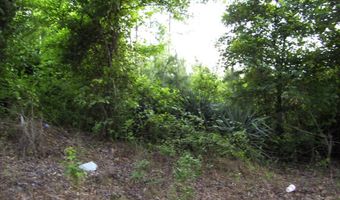 263 LR 182, Ashdown, AR 71822