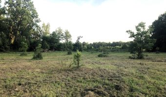1071 LR 3, Ashdown, AR 71822