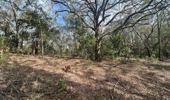 NW County Road 236, Bell, FL 32619