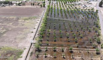 557 Aldaz Rd, Anthony, NM 88021