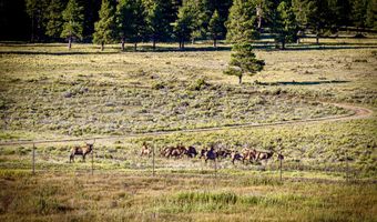 27502 US Hwy 64, Angel Fire, NM 87710