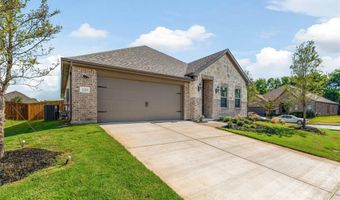 1253 Carinna Dr, Anna, TX 75409