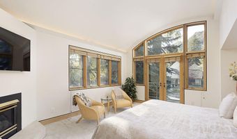 530 W Francis St, Aspen, CO 81611