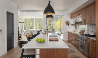 22856 Two Rivers Rd, Basalt, CO 81621