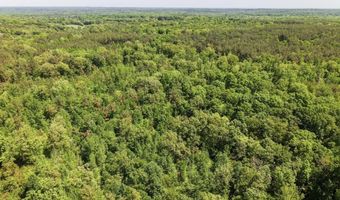 ED BARHAM TRACT 2 Rd, Bethel Springs, TN 38315