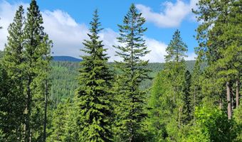 NNA Snowcat Lane, Bonners Ferry, ID 83805