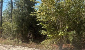 Lot 10 16th Ave, Bell, FL 32619