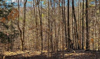 TM 407 L 35 Shem Valley Road, Alexandria, NH 03222