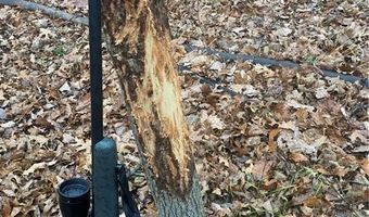 32302 S State Route W Hwy, Archie, MO 64725