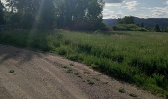 4457 Challis Creek Rd, Challis, ID 83226