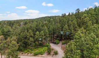 203 Hilltop Dr, Bayfield, CO 81122