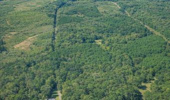 40 8 Acres Johnson Bridge Rd, Ariton, AL 36311