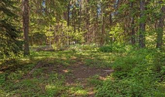 654 Bings Rd, Cascade, ID 83611