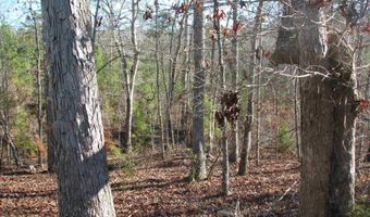 Buckhead Rd, Blair, SC 29015