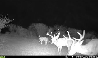 CR 119 lot 0, Alice, TX 78332
