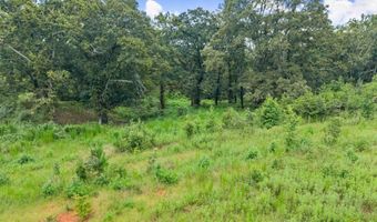 0 Honeysuckle, Gainesville, GA 30506