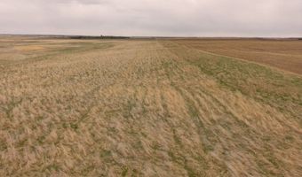 113 Th St, Barnard, SD 57426