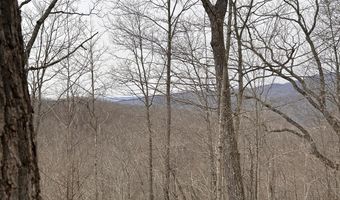 Toole Creek Road, Abingdon, VA 24210
