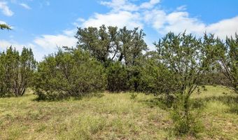 000 CR 539, Hico, TX 76457