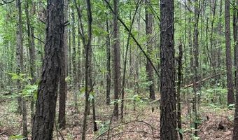 0 Crouch Rd 4, Benton, LA 71006