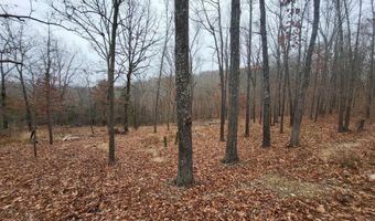Tbd County Road East 76-211, Ava, MO 65608