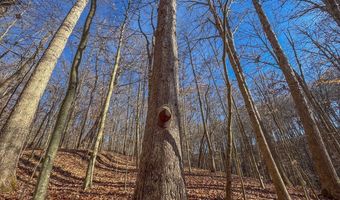 33056 Weaver Church Rd, Albany, OH 45710