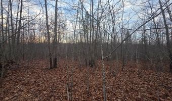 Happy Trails Lane lot 8, Appomattox, VA 24522
