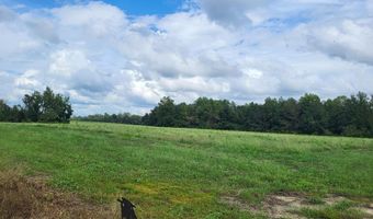 Lot 15 Woodham Rd, Ashford, AL 36312