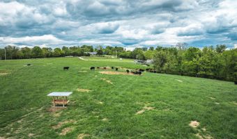 Rr1 Box 335a, Ava, MO 65608