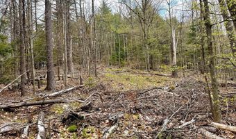 TM 413 L 99 King Road, Alexandria, NH 03222