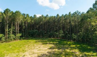 Trickhambridge Road lot 7, Brandon, MS 39042