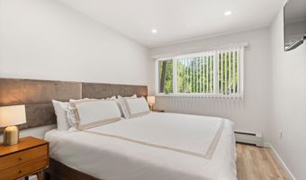 100 E Dean St 1D, Aspen, CO 81611
