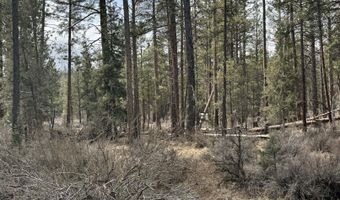 Bufflehead Drive TL 10, Bonanza, OR 97623