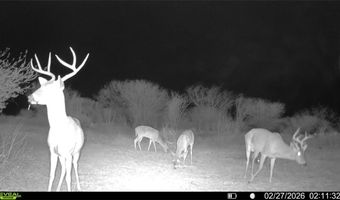 CR 119 lot 0, Alice, TX 78332