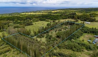 29-3707 KANNA Rd, Hakalau, HI 96710