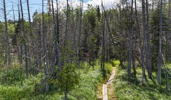 TBD STEVENS Road, Barton, VT 05822