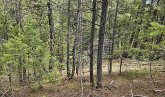 59 Price Loop, Cascade, ID 83611