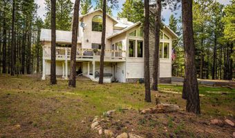 46 Lakeview Park Dr, Angel Fire, NM 87710