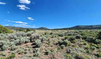 Conejos River Trails lot 10, Antonito, CO 81120