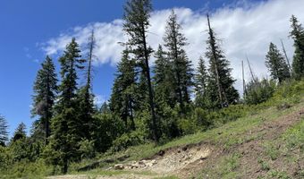 NNA Hwy 200, Clark Fork, ID 83811