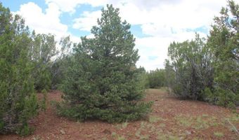 29 Co Rd 3199, Vernon, AZ 85940