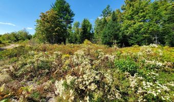 Lot 3 W. McMann & Porcupine Hill Road, Addison, ME 04606