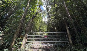 105 Hana Hwy, Hana, HI 96713