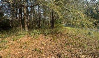 Delta Woods Drive, Bay Minette, AL 36507