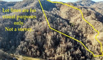 NC 209 Highway, Aurora, NC 28743