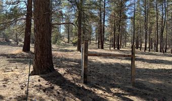 0 Mina Bird Lot 7 & 8, Bonanza, OR 97623