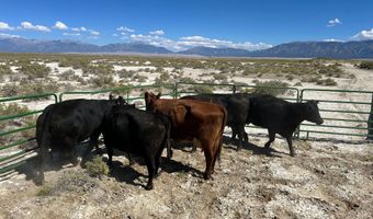 Alamosa County Parcel # 5139301, Alamosa, CO 81101