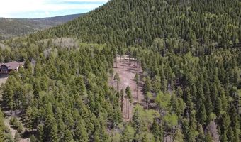 Back Basin Rd lot 14, Angel Fire, NM 87710