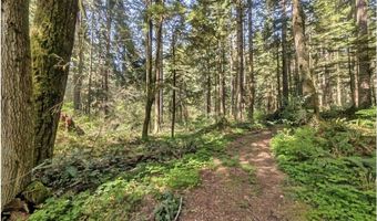 62955 E MOUNTAIN COUNTRY Ln, Brightwood, OR 97011