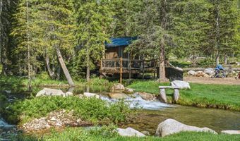 383 Red Lion Rd, Anaconda, MT 59711